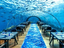 image-gallery