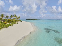 image-gallery