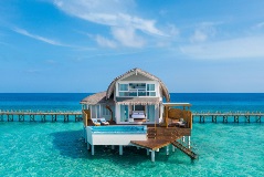 image-gallery