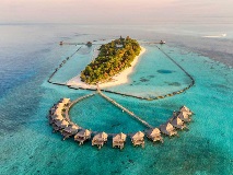 image-gallery