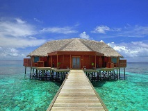 image-gallery