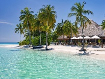 image-gallery