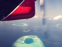 image-gallery