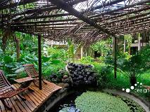 image-gallery