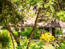 image-gallery