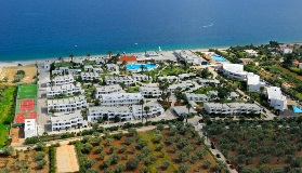 image-gallery