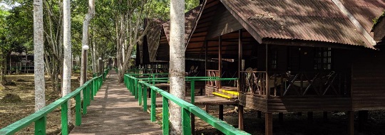 Bilit-Rainforest-Lodge-Grounds