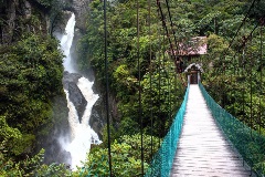 image-gallery