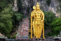 image-gallery
