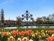 image-gallery