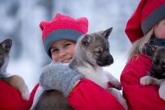 image-gallery