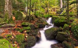 image-gallery