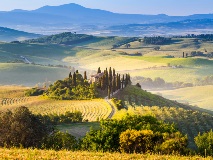 image-gallery