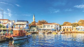 image-gallery