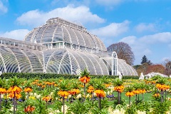image-gallery