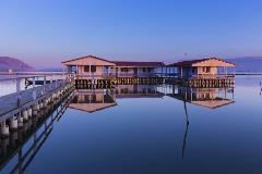 image-gallery