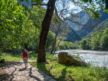 image-gallery
