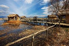 image-gallery
