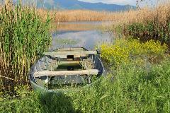 image-gallery