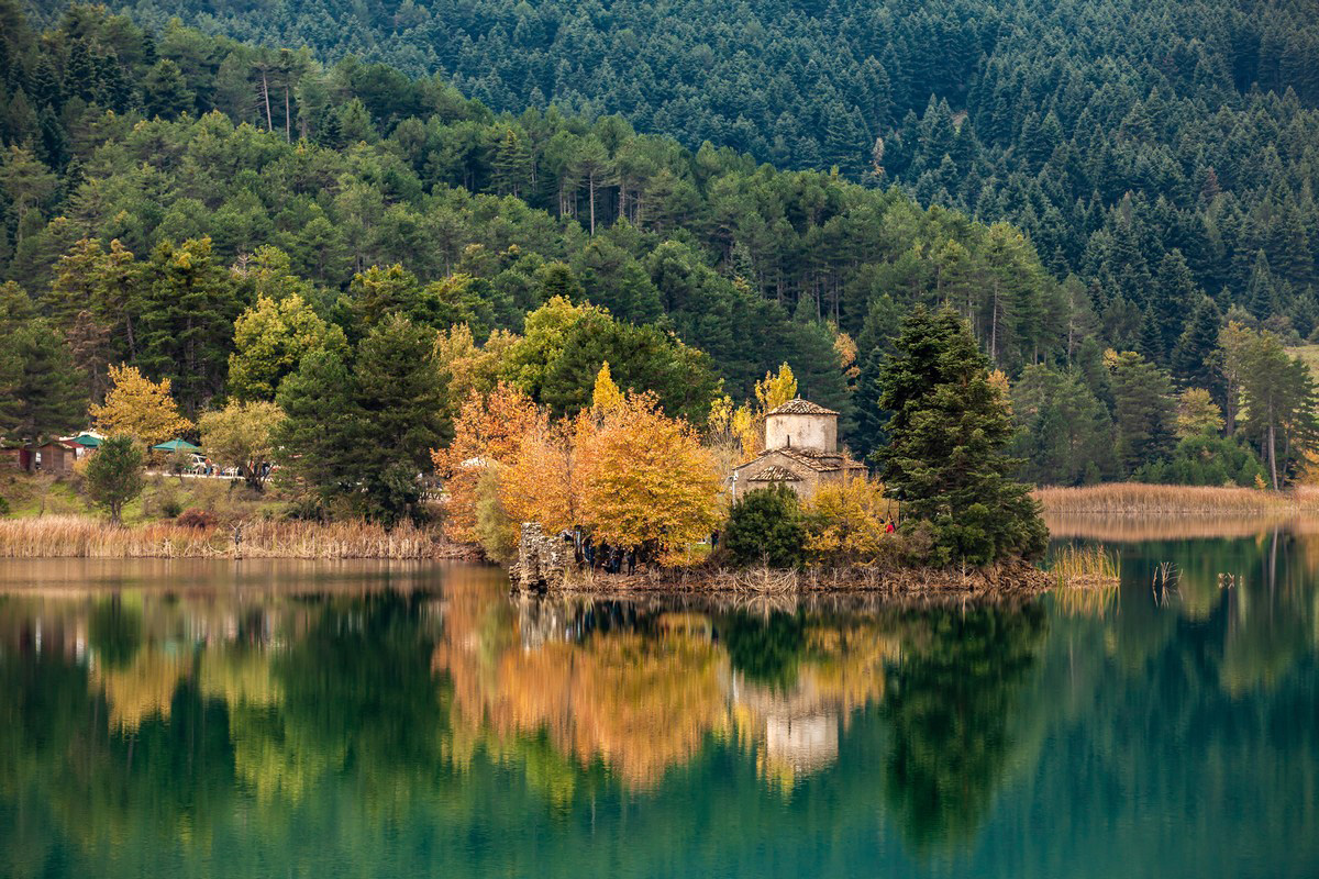 image-gallery