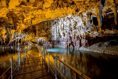 image-gallery