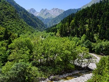 image-gallery
