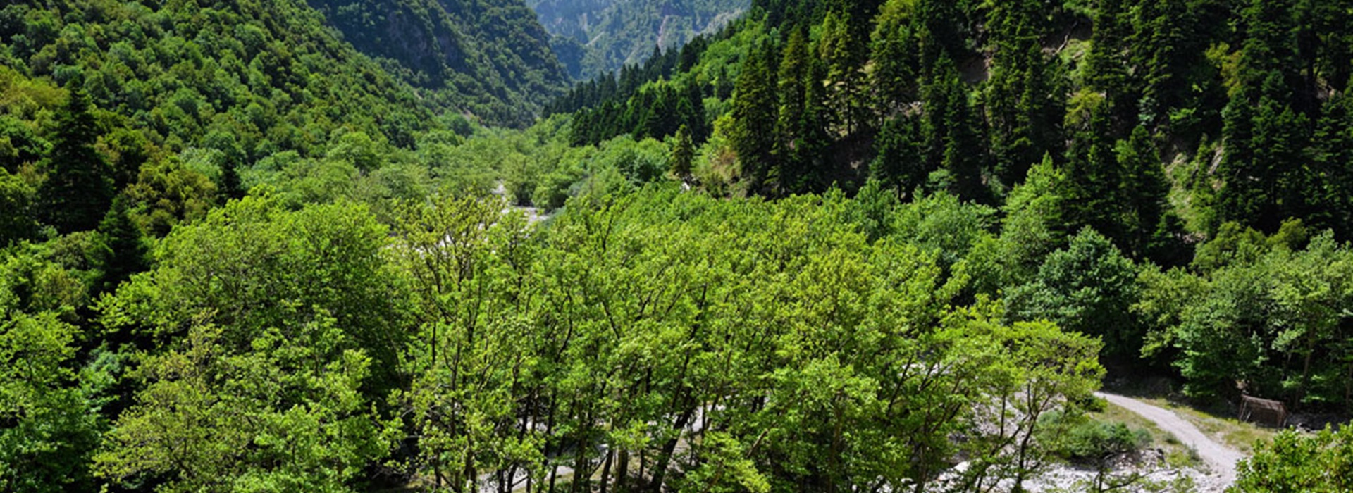 image-gallery