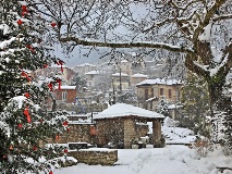 image-gallery
