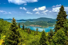image-gallery