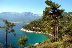 image-gallery